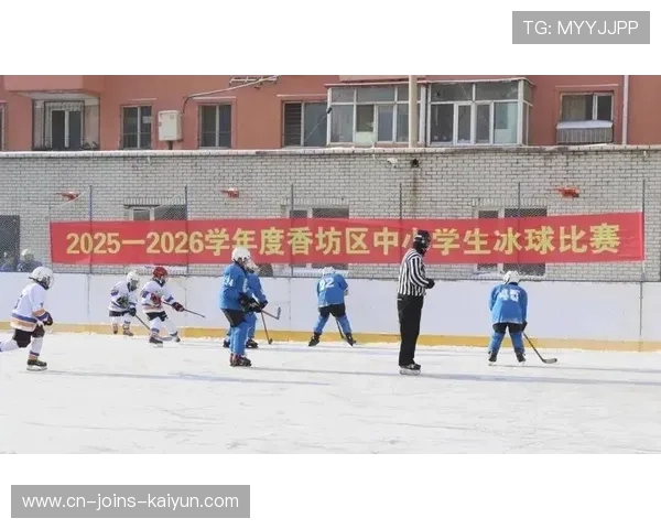 冰球青训活动纳入校园体育节，学生参与度出现断崖式增长